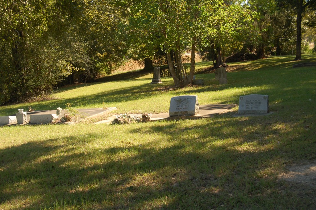 Pictures by Paul Moline